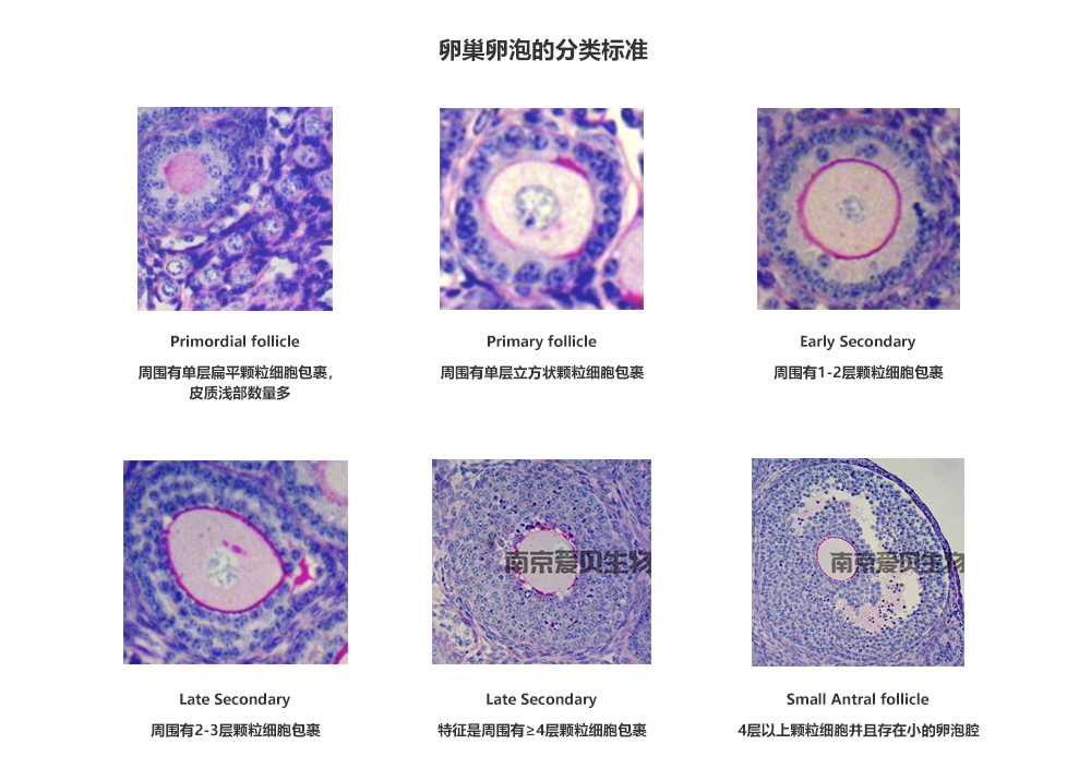 (图1) 1-210P4114955O6.png