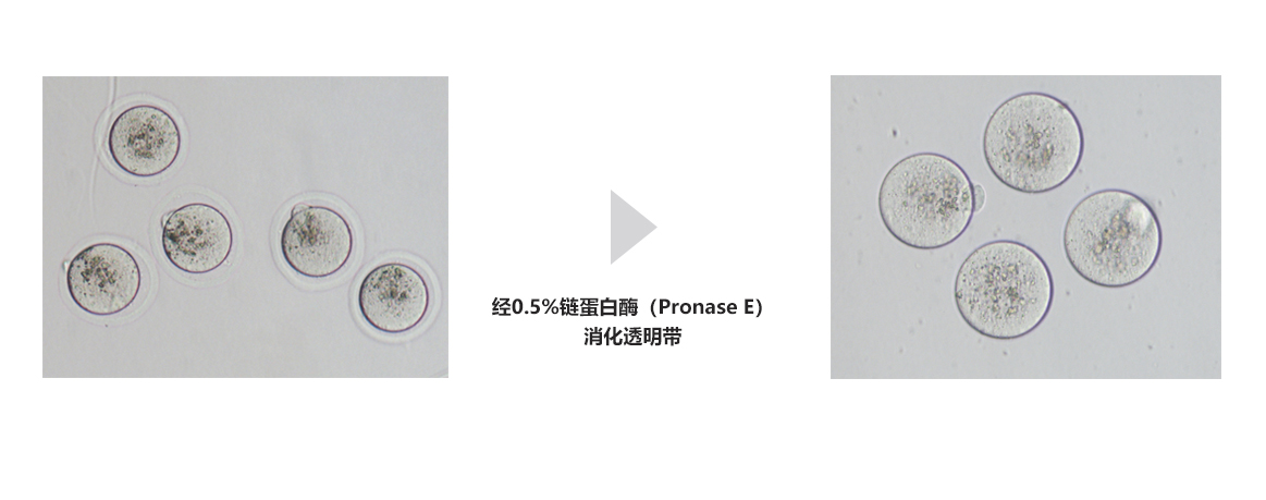 组合.jpg