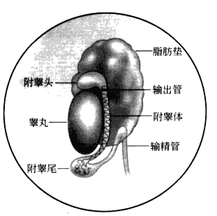 1-210P41F61B54.png