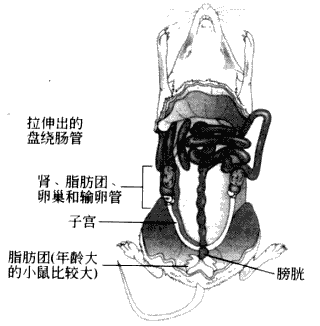 1-210P509244I57.png